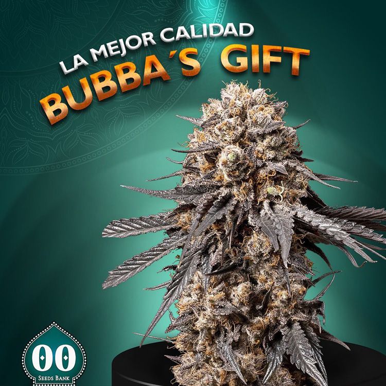 Dope Breeders - 00 Seeds Bubba's Gift Image