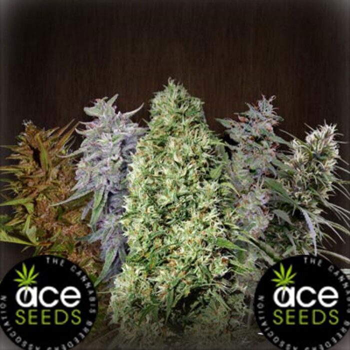 Dope Breeders - ACE SEEDS Ace Mix Image