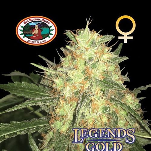 Dope Breeders - BIG BUDDHA SEEDS Legends Gold Image