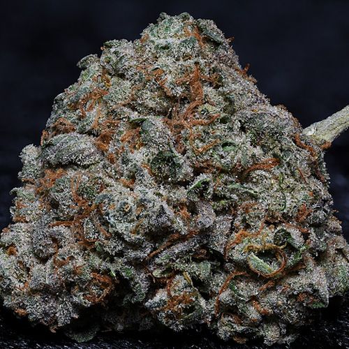 Dope Breeders - BIG HEAD SEEDS Fire OG Kush Image