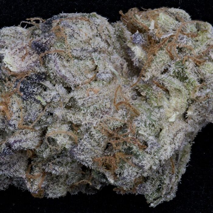 Dope Breeders - BIG HEAD SEEDS Purple Punch Image