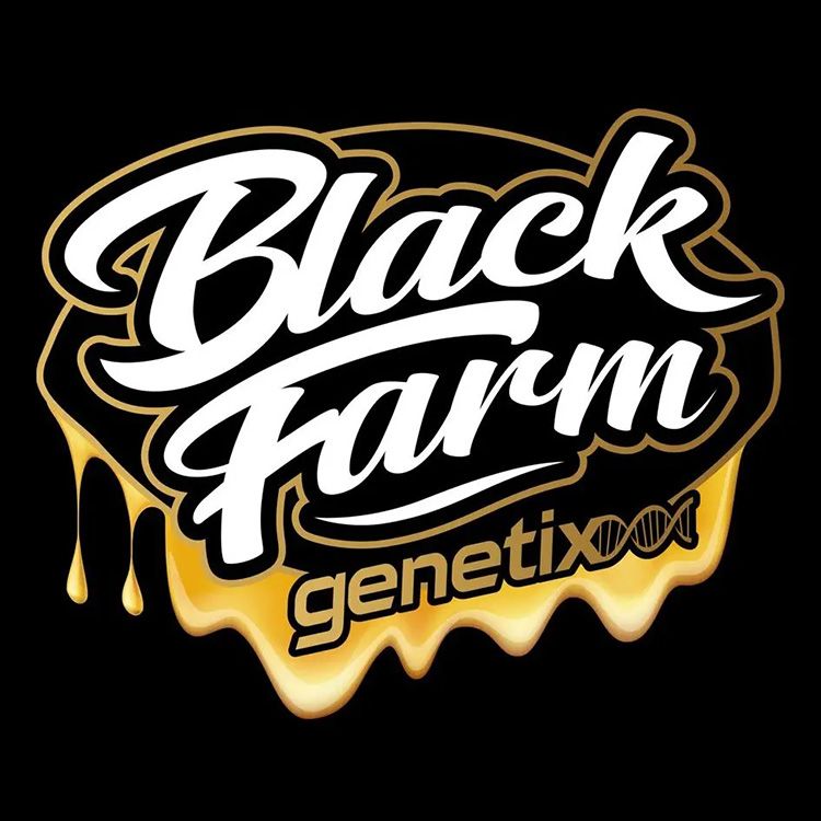 Dope Breeders - BLACK FARM GENETIX Bubba Slaps Image