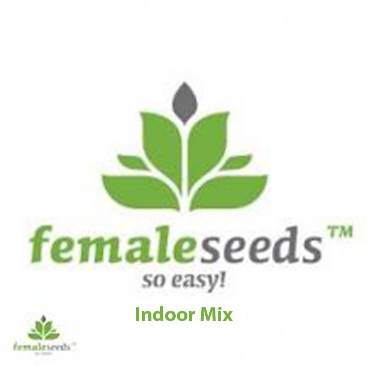 Dope Breeders - FEMALE SEEDS Indoor Mix Image