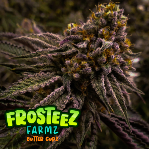 Dope Breeders - FROSTEEZ FARMZ Butter Cupz Image