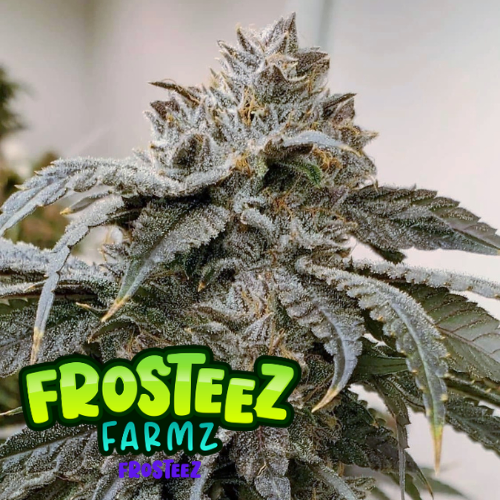 Dope Breeders - FROSTEEZ FARMZ Frosteez Image