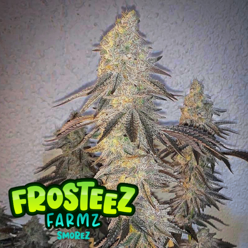 Dope Breeders - FROSTEEZ FARMZ Smorez Image