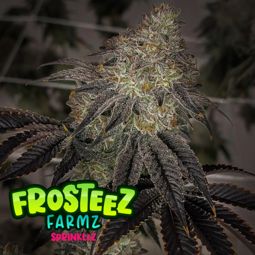 Dope Breeders - FROSTEEZ FARMZ Sprinklez Image