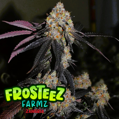 Dope Breeders - FROSTEEZ FARMZ Zangria Image