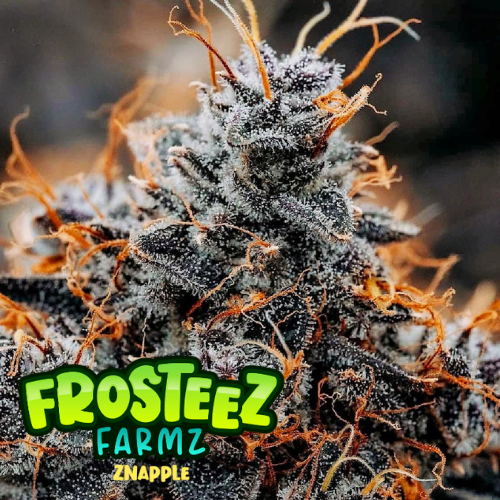 Dope Breeders - FROSTEEZ FARMZ Znapple Image