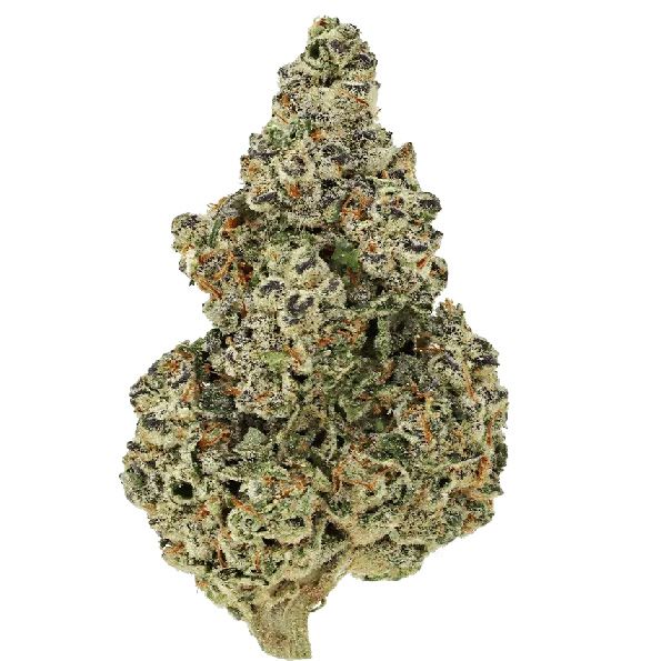 Dope Breeders - GROWERS CHOICE Crazy Roses Fast Version Image