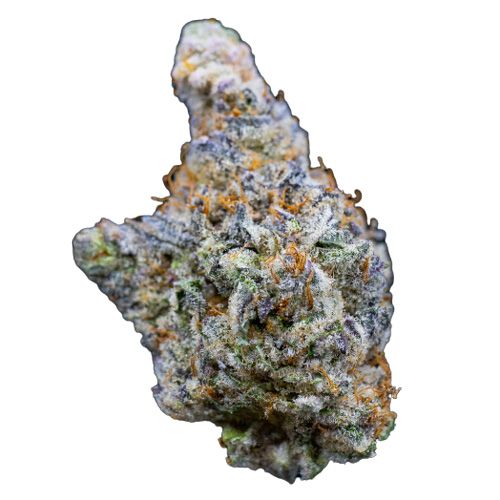 Dope Breeders - GROWERS CHOICE Limited Edition Mimosa Gusher Image