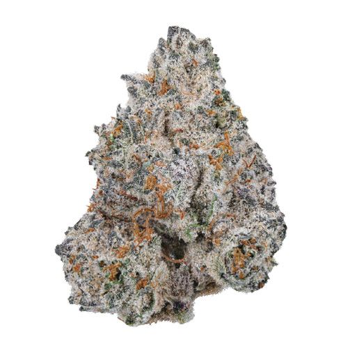 Dope Breeders - GROWERS CHOICE Limited Edition White Truffle Image