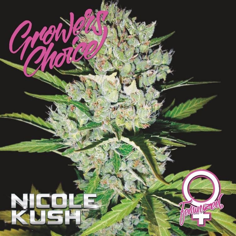 Dope Breeders - GROWERS CHOICE Nicole Kush Image