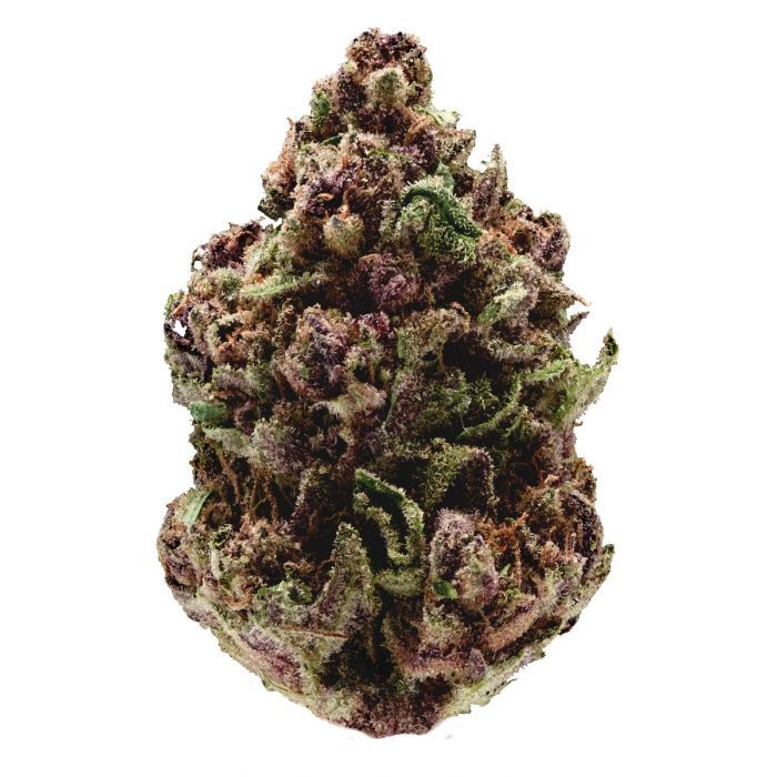 Dope Breeders - GROWERS CHOICE Pink Magic Fast Version Image