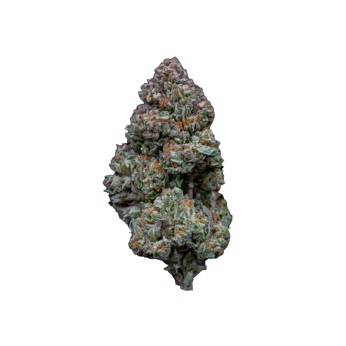 Dope Breeders - GROWERS CHOICE RS11 Image