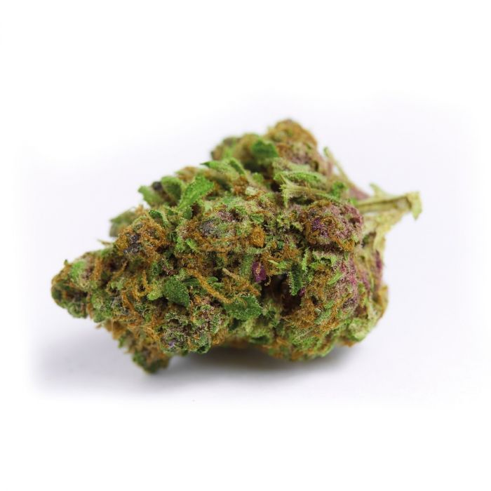 Dope Breeders - GROWERS CHOICE Red Banana Berry Double XL Auto Image