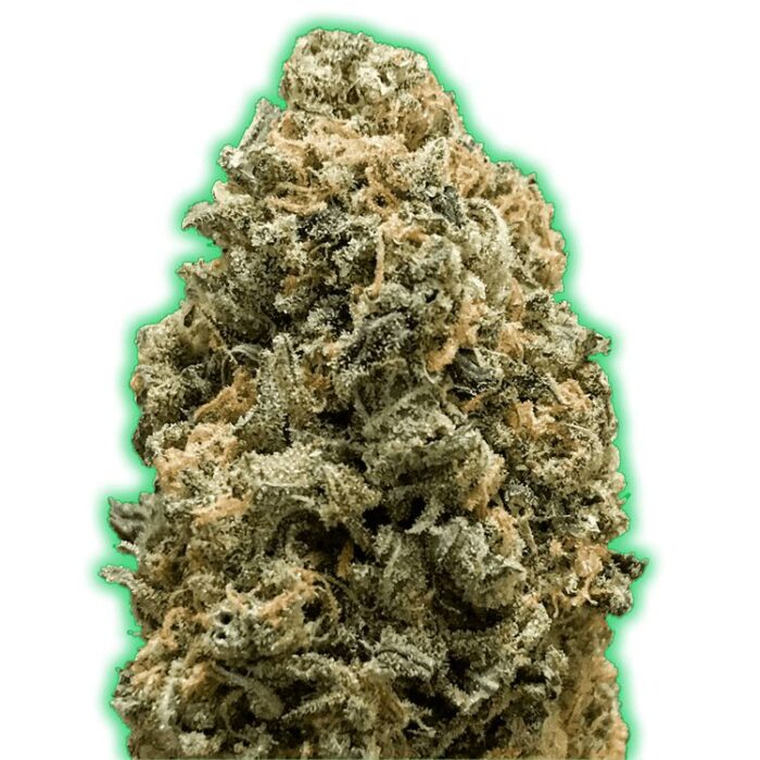 Dope Breeders - MONSTER GENETICS Monster Bruce Banner Image