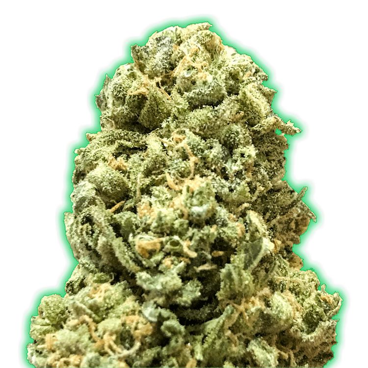 Dope Breeders - MONSTER GENETICS Monster Girl Scout Cookies Image