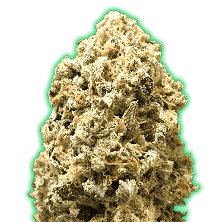 Dope Breeders - MONSTER GENETICS Monster Pebbles Image