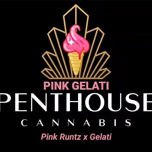 Dope Breeders - PENTHOUSE CANNABIS Pink Gelati Image