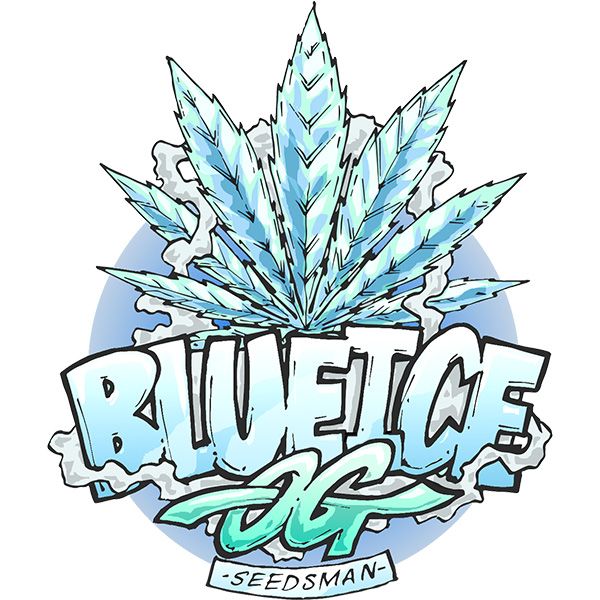 Dope Breeders - SEEDSMAN SEEDS Blue Ice OG Image