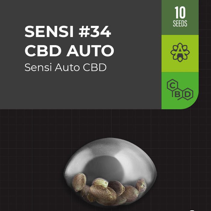 Dope Breeders - SENSI SEEDS RESEARCH #34 Sensi Auto CBD Image