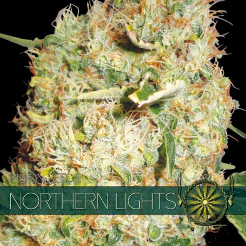 Dope Breeders - VISION SEEDS Northern Lights Image