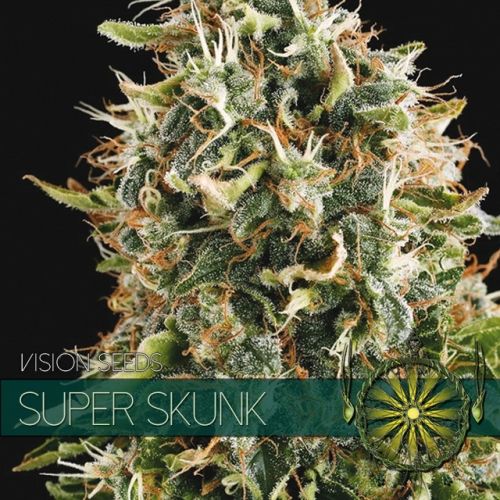 Dope Breeders - VISION SEEDS Super Skunk Image